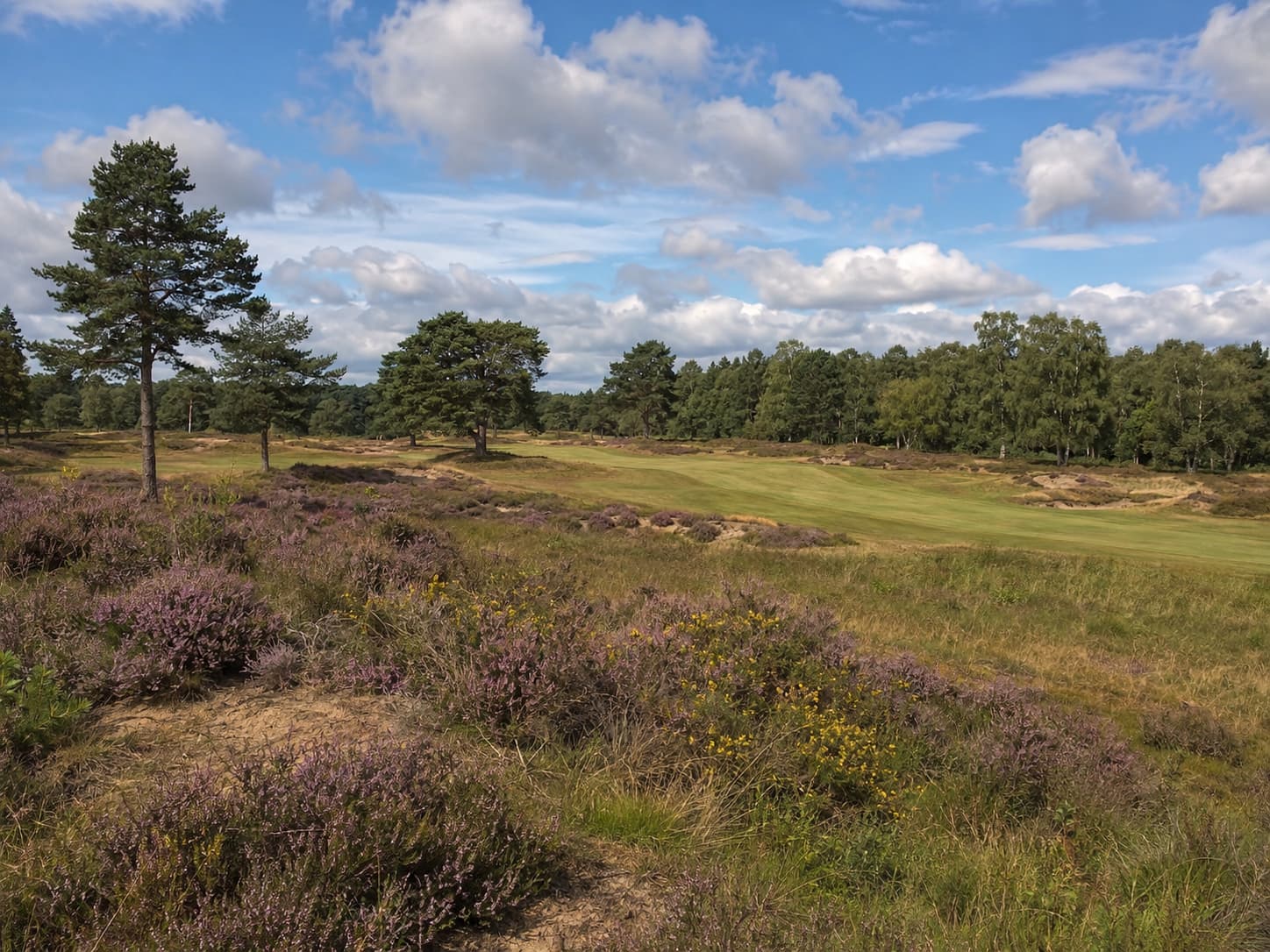 Heathland in America: Finding the Style Without Crossing the Atlantic