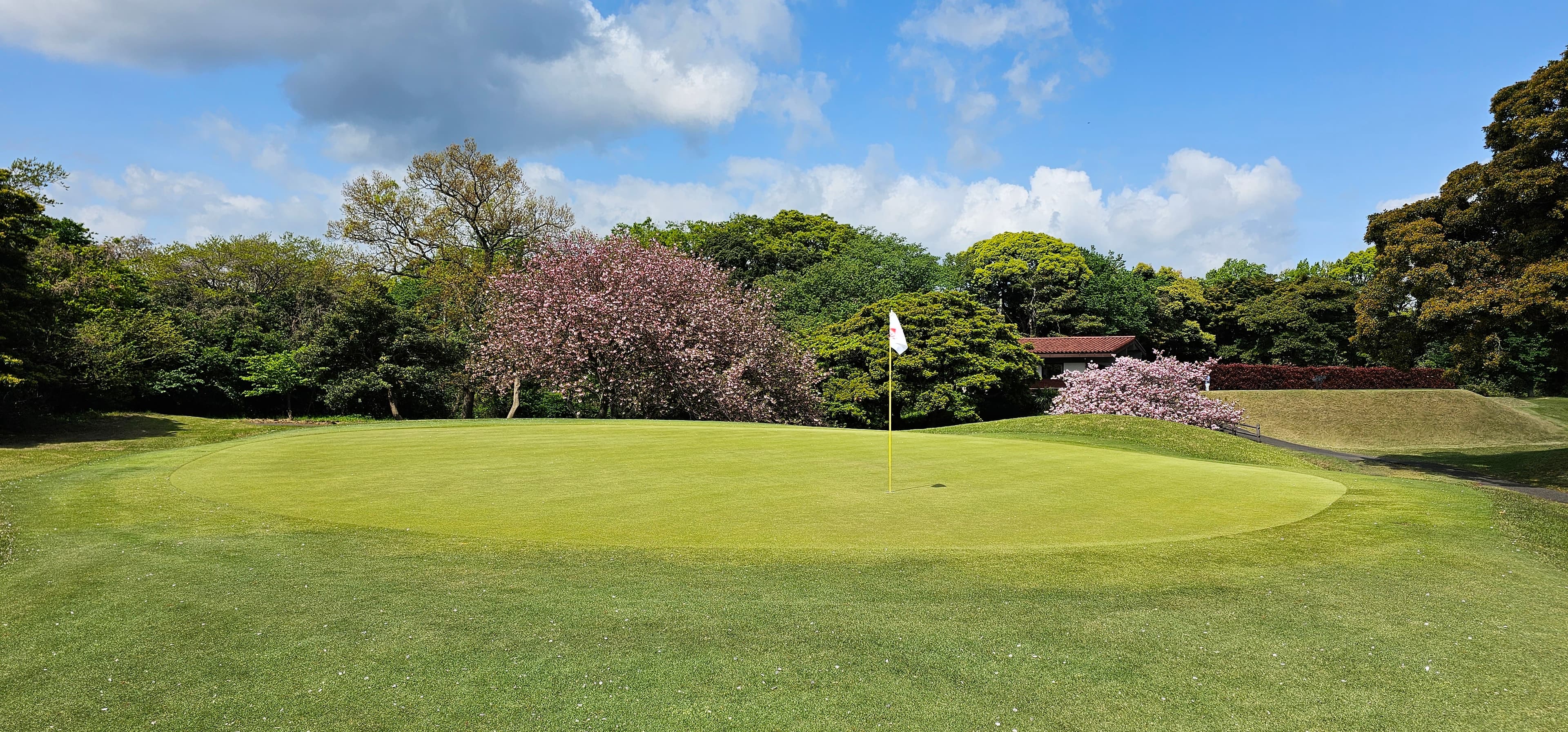 Japan Golf: Where and How to Plan a Trip — photo 1